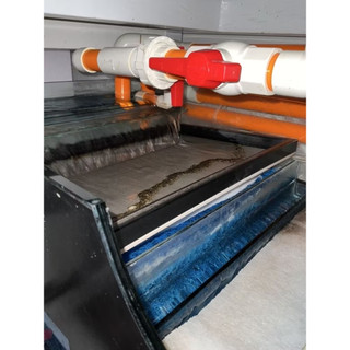 Khay tách phân bể cá. Lưới inox 304