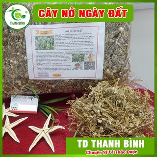 Cây nở ngày đất 1kg - hàng công ty loại 1 - thảo dược uy tín