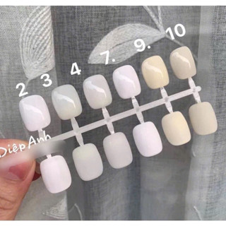 Sơn d2 tone trắng-kem- nước gạo (vỏ hồng)