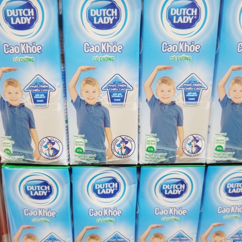 Combo 2 lốc Sữa cao khỏe Dutch Lady 170ml