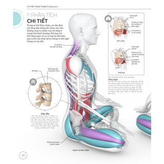 Sách - Khoa học về Yoga (Bìa cứng)