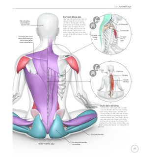 Sách - Khoa học về Yoga (Bìa cứng)