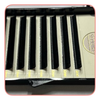 Mi khay (mi nối) SEDUIRE độ cong C (12 hàng), tóc MINK (dụng cụ nối mi)