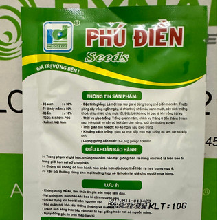 Hạt giống thì là tứ quý – PD415 gói 50gram