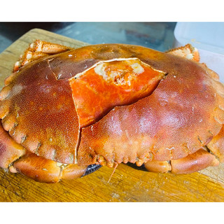 Hoả Tốc - Cua Nâu Siêu Gạch - Bao Ăn 1 Đổi 1