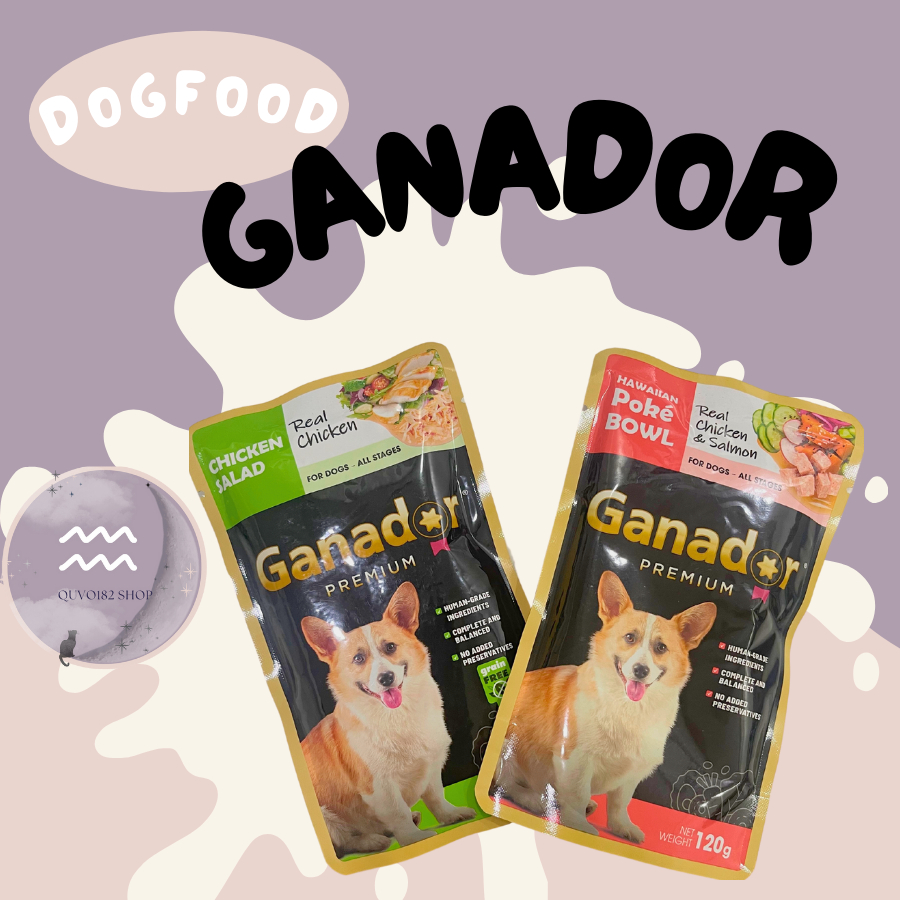 Pate cho chó dạng xốt Ganador Premium 120g