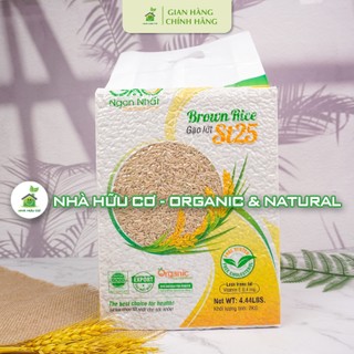  Túi 2kg - GẠO LỨT ST25 VIETGAP nguyên cám – GẠO NGON NHẤT - Nhà hữu cơ 