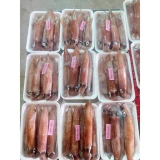 (giao hỏa tốc) MỰC TRỨNG NHÁY MINO FULL TRỨNG TỰ NHIÊN. KHAY 500g 4 -6con