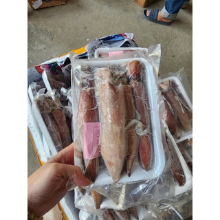 (giao hỏa tốc) MỰC TRỨNG NHÁY MINO FULL TRỨNG TỰ NHIÊN. KHAY 500g 4 -6con