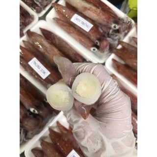 (giao hỏa tốc) MỰC TRỨNG NHÁY MINO FULL TRỨNG TỰ NHIÊN. KHAY 500g 4 -6con