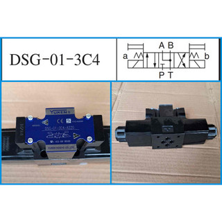 Van điện thuỷ lực DSG-01-3C4-A220