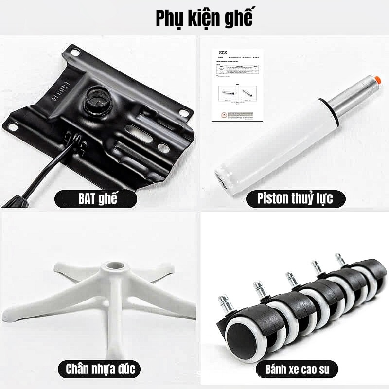 Ghế Công Thái Học {PTS01-KT} Không Tựa Đầu, Chống Mỏi Lưng, Kiểu Dáng Hiện Đại, Khung Nhựa PP Cao Cấp | BigBuy360 - bigbuy360.vn