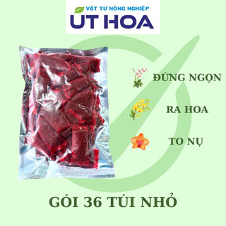 COMBO 5 Túi Nhỏ Phân Bón Hoa Lan ORCHID Hữu Cơ Tan Chậm - Dưỡng cây dưỡng rễ, siêu ra hoa