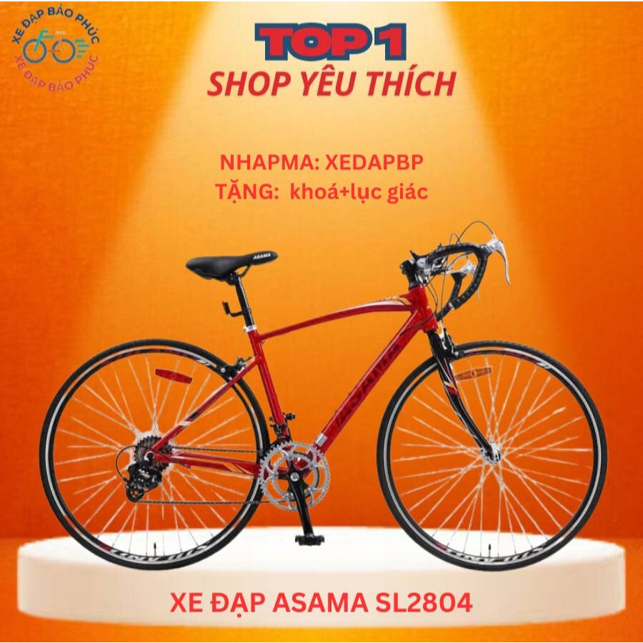 Xe đạp đua Touring  ASAMA RB SL2804 700C (Tặng chân chống+chắn bùn + lục giác)