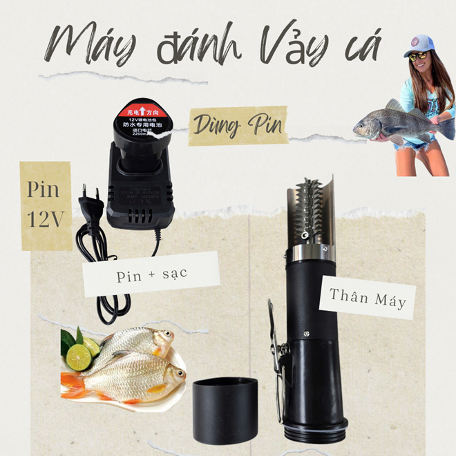 MÁY ĐÁNH VẢY CÁ CẦM TAY DÙNG PIN  - 12V  CHỐNG NƯỚC CÔNG SUẤT LỚN