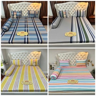 Mẫu Kẻ sọc màu sắc. Bộ ga giường thun Latico siêu lạnh Lụa (áo gối ôm khoá kéo)