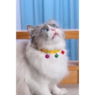  Vòng cổ may mắn tết dây 5 chuông nhỏ cho Chó Mèo Phụ kiện pet shop 