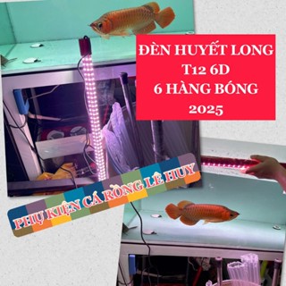  ĐÈN LED HUYẾT LONG T12 6D GỒM 6 HÀNG BÓNG 2025 TUYỆT TÁC MỚI NHẤT GIÀNH CHO CÁ RỒNG 