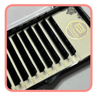 Mi khay SEDUIRE độ cong D+(U) (12 hàng), tóc MINK