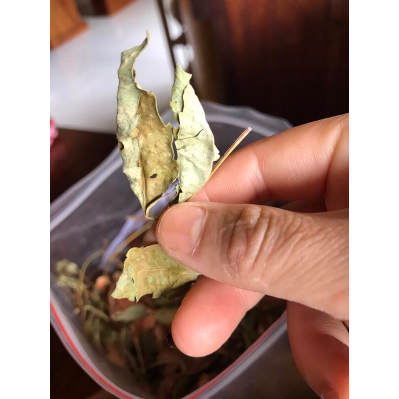 Chè dây rừng Kbang Gia Lai 1kg