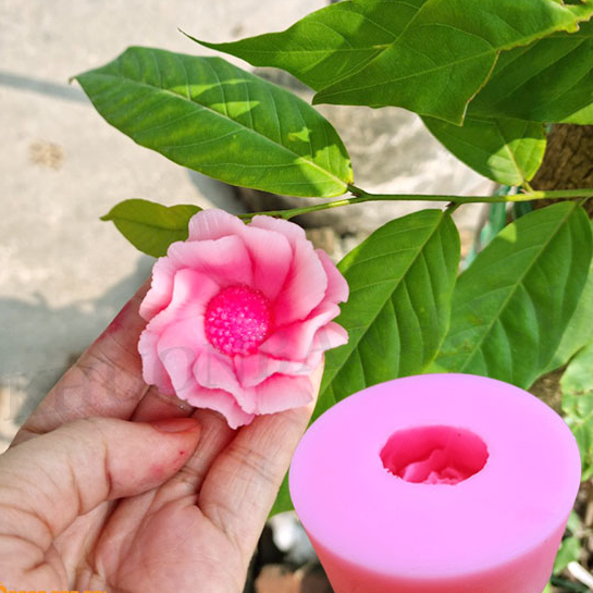 Khuôn nến khuôn rau câu khuôn silicon hoa mã V14