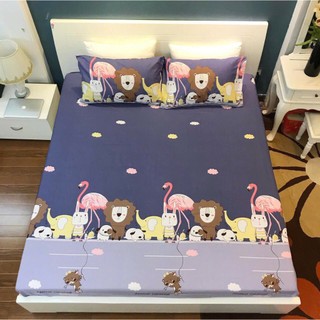 Ga chống thấm cotton mẫu mới 2025,nhiều mẫu và đủ kích thước