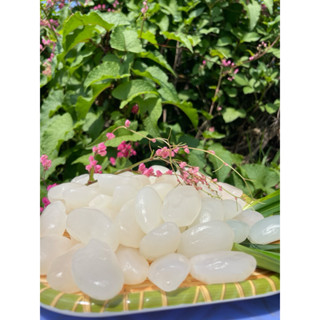 Combo 3kg Hạt Đác Tươi Size lớn, Dẻo không cứng, giàu chất xơ, ít calo, đẹp da..