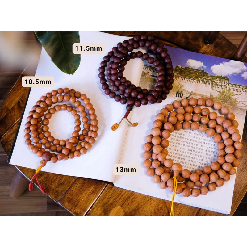 Chuỗi 108 Hạt Bồ Đề Phật Nhãn, Bồ Đề Chuẩn