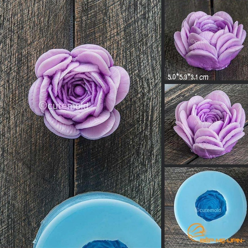 Khuôn silicon hoa trà thái D29