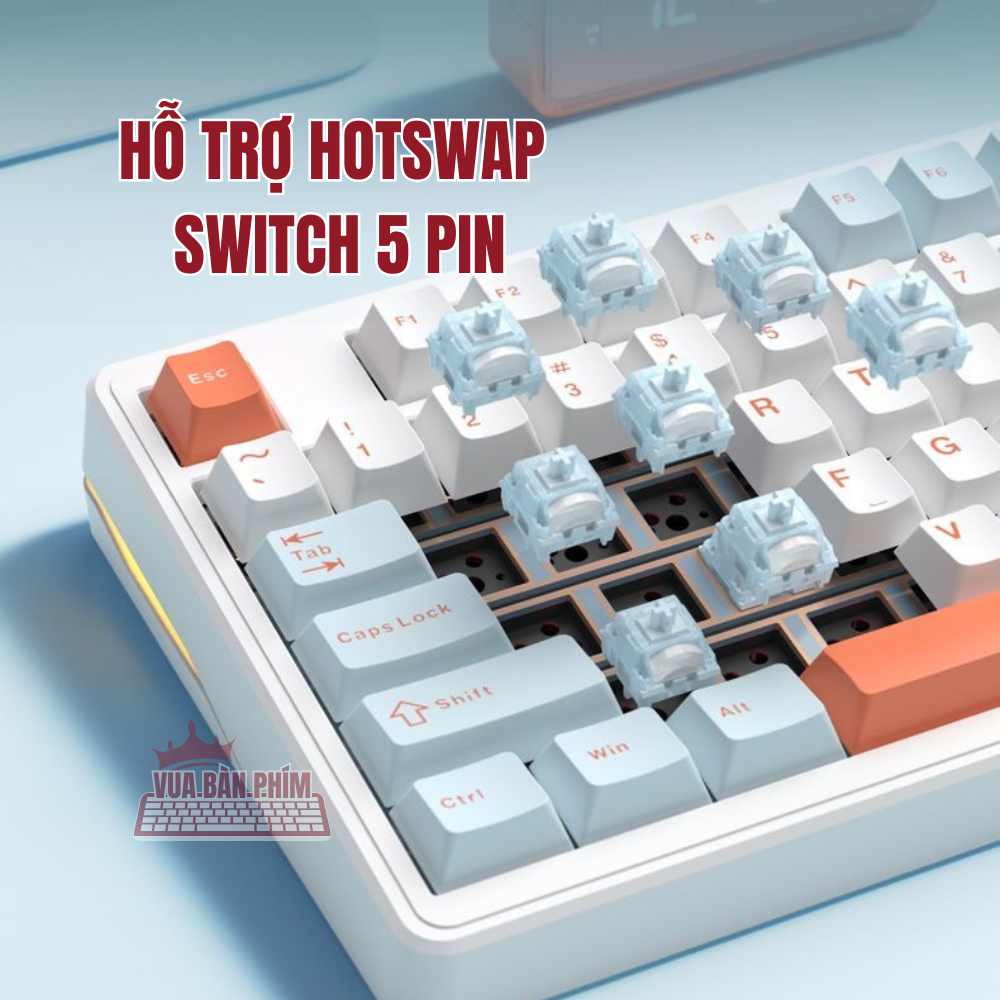 [HÀNG SẴN] Bàn phím cơ Riccks Rs8 | riccks rs87 V2 không dây, mạch xuôi, led rgb, gasket mount, hostswap, qmk via | BigBuy360 - bigbuy360.vn