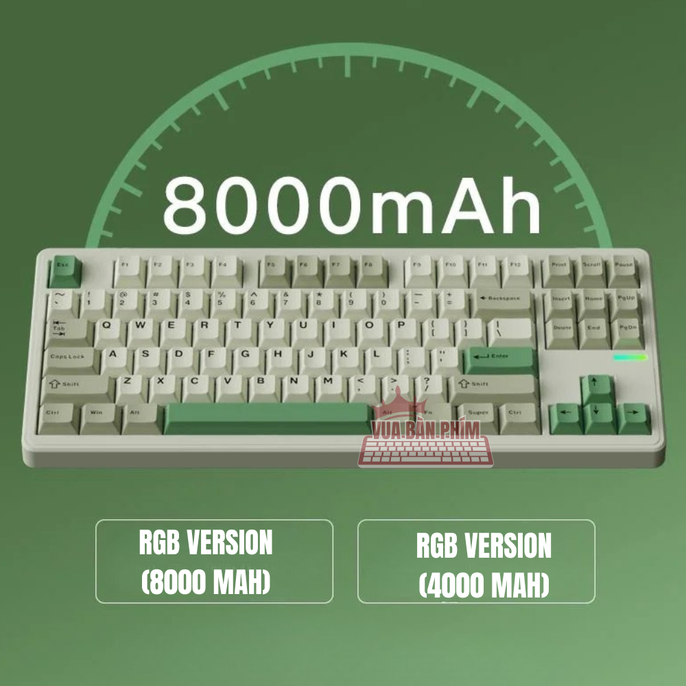 [HÀNG SẴN] Bàn phím cơ Riccks Rs8 | riccks rs87 V2 không dây, mạch xuôi, led rgb, gasket mount, hostswap, qmk via | BigBuy360 - bigbuy360.vn
