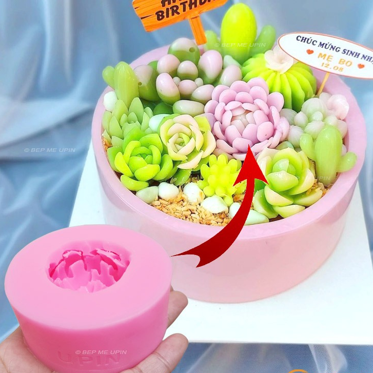 Khuôn silicon sen đá xương rồng mã SR306