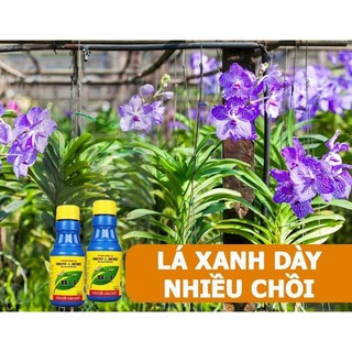 Phân bón lá vitamin B1 100ml growmore