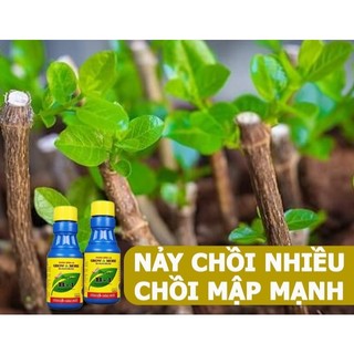 Phân bón lá vitamin B1 100ml growmore