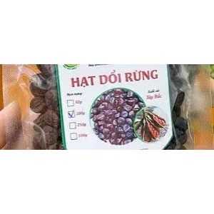 {20 Hạt} Hạt dổi rừng/ Dổi nếp siêu thơm đặc biệt