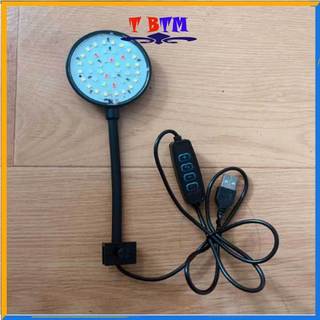  Đèn LED mini 5w kẹp bể cá thuỷ sinh 3 chế độ màu anh sáng cho bể cá cây thủy sinh 
