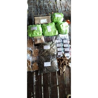 Cây Vòi Voi Khô/tươi