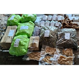 Cây Vòi Voi Khô/tươi