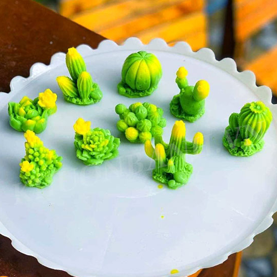 Set 9 khuôn xương rồng đột biến nhánh đẹp khuôn silicon rau câu