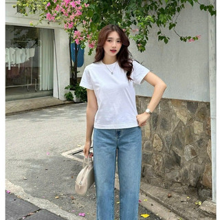 Áo Thun BABYTEE Trơn Cotton Dày Dặn Form Ôm Body Freesize Dưới 50kg (AT6-M)