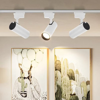 Đèn Led Rọi Ray Cao Cấp HeeSun LE121