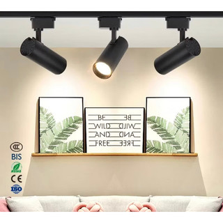 Đèn Led Rọi Ray Cao Cấp HeeSun LE121