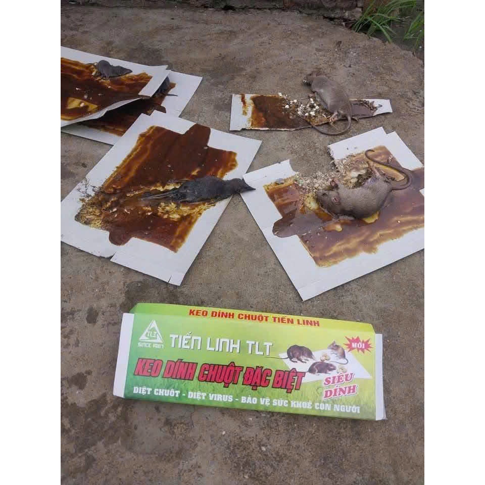 COMBO 5 TẤM Keo Dính Chuột Siêu Dính, Keo Bẫy Chuột, Bắt Chuột Diệt Các Loại Côn Trùng An Toàn Và Siêu Dày
