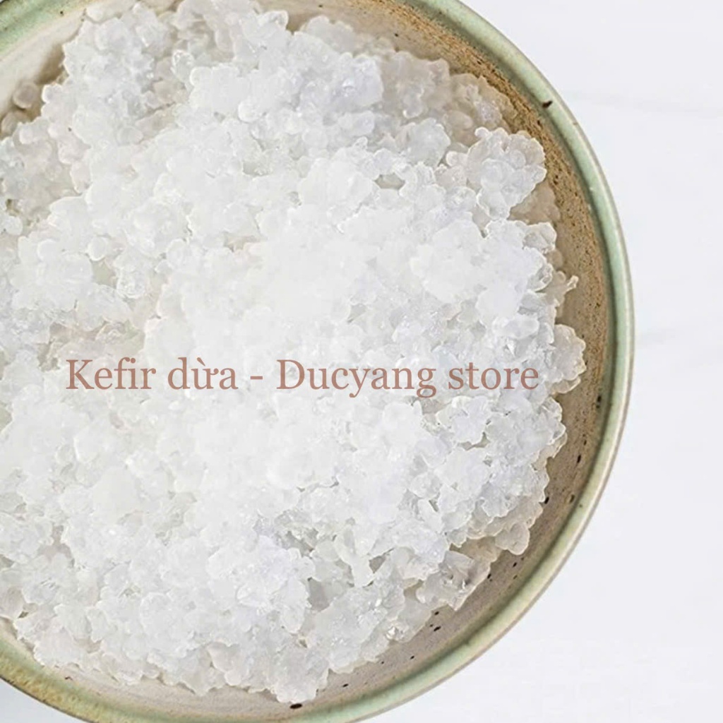 Kefir Dừa đã thuần dừa - tặng công thức nuôi nấm khoẻ bất bại