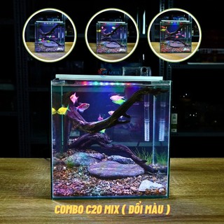 Bể cá mini CUBIC 25cm để bàn