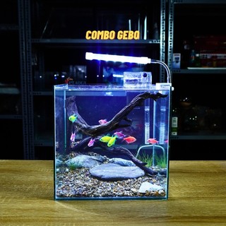 Bể cá mini CUBIC 25cm để bàn