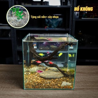 Bể cá mini CUBIC 25cm để bàn