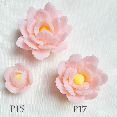 Combo 3 khuôn silicon hoa trà thái mã p15 p17 p18