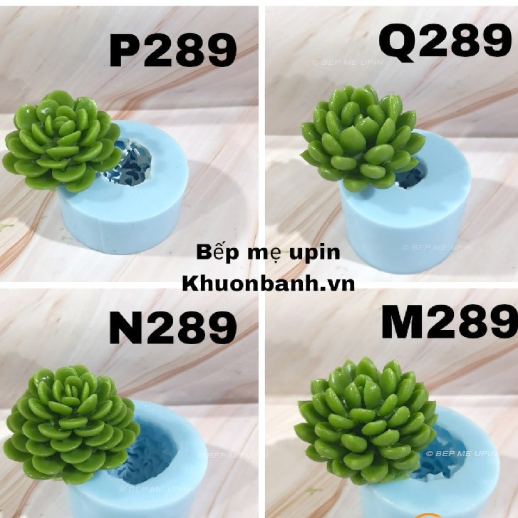 Khuôn silicon sen đá mọng nước 289 xương rồng đẹp