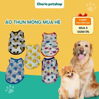 Áo thun mỏng rực rỡ ngày hè chó mèo